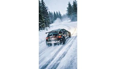 FIA WRC Rally Sweden 2026 (84)