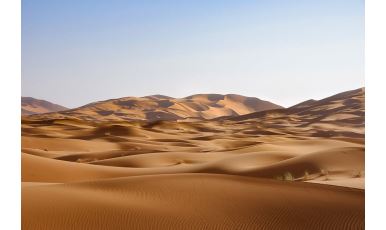 Africa Eco Race 2025 (181)