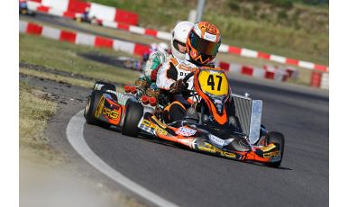 CRG TEAM OKKART