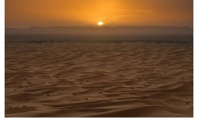 Baja SSV Morocco 2024 (155)