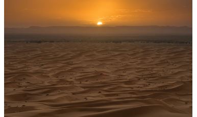 Africa Eco Race 2025 (175)